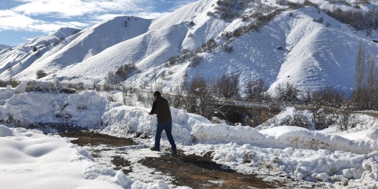 Erzincan’da Yaban Hayvanları İçin Doğaya Yem Bırakıldı