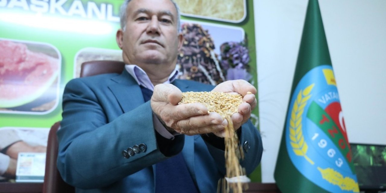 İ̇talyan Makarnasına Buğday Gaziantep’ten
