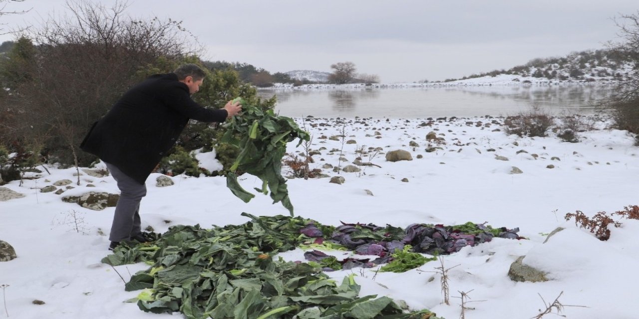 Saruhanlı Belediyesi Yaban Hayvanlarını Unutmadı