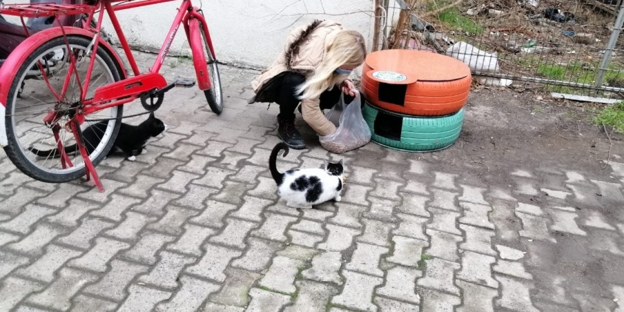 Eski Araç Lastikleri Kedi Evi Oldu