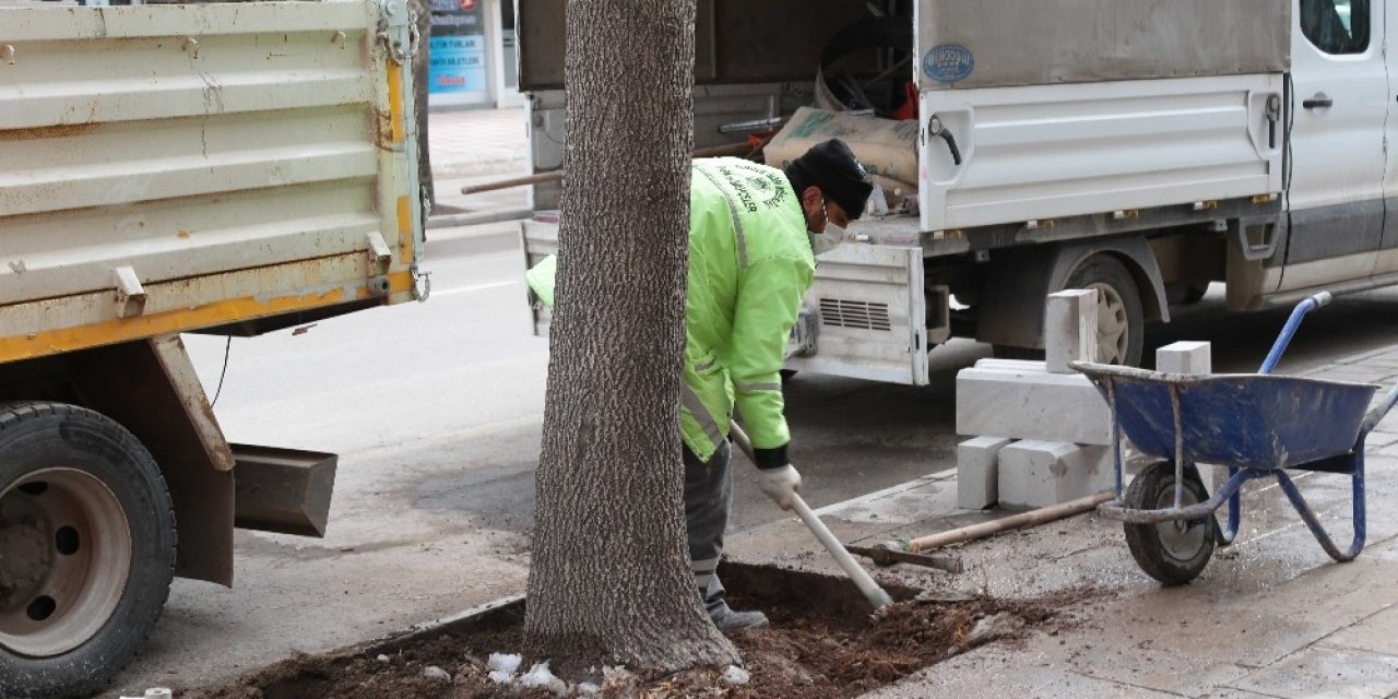 Aksaray’da Yeşil Alanların Bakımı Kış Aylarında Da Devam Ediyor