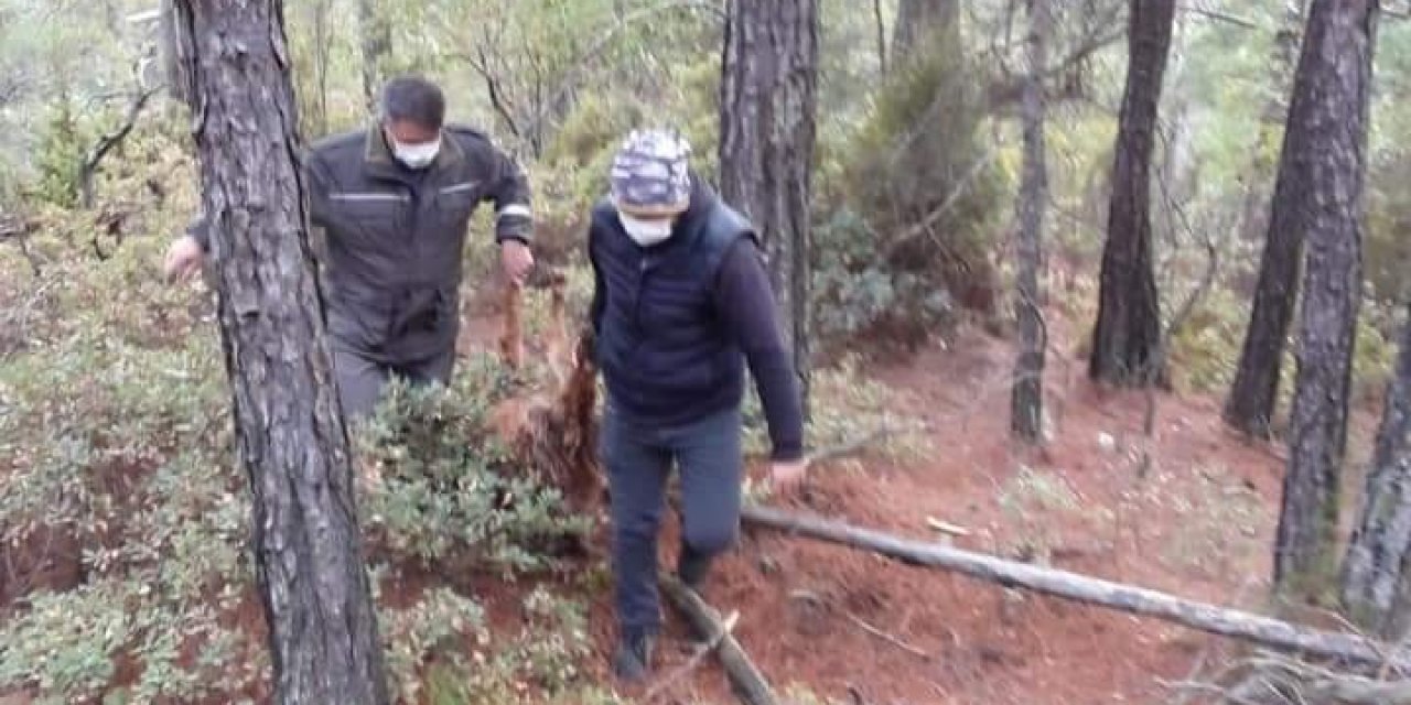 Kaçak Avcılar Suçüstü Yakalandı