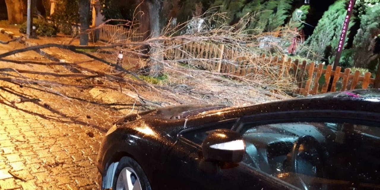 Manisa’da Fırtına Ağaçları Devirdi Çatıları Uçurdu
