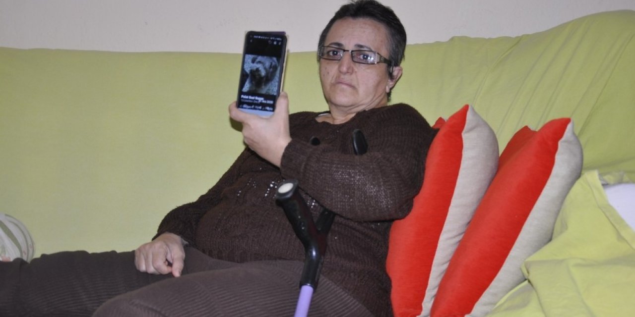 Felçli Kadın, 6 Aydır Özel Eğitimli Köpeğini Arıyor