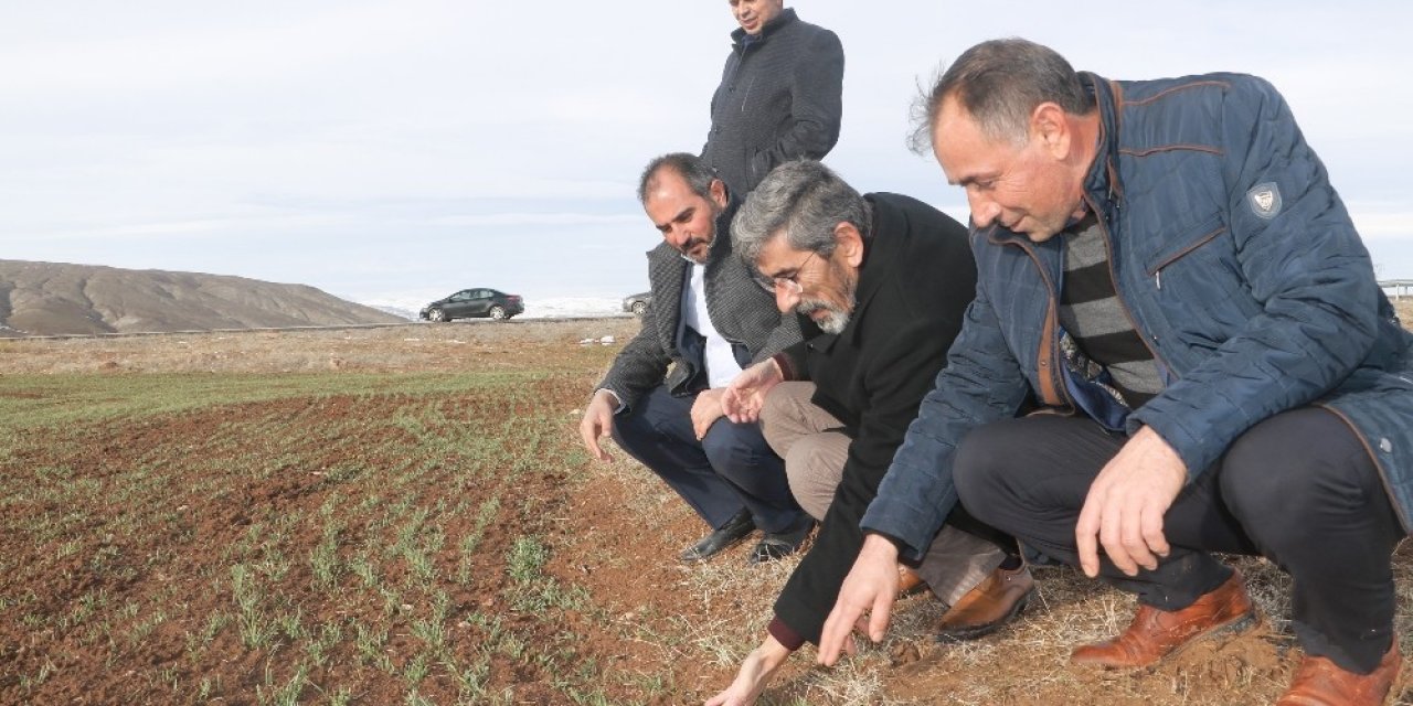 “kar Yağışı Çiftçiye Can Suyu Oldu”