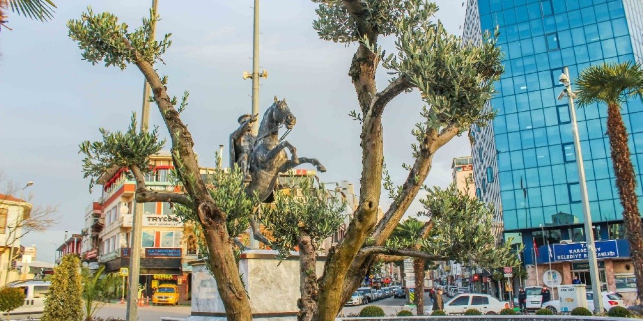 Karacabey Zeytincilikte De İddialı