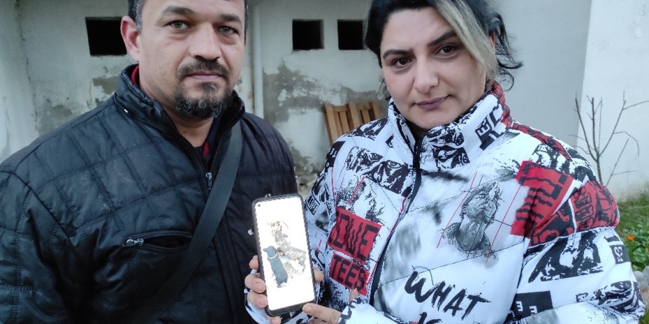 Köpeklerinin Bulunmasını İsteyen Çift, Vatandaşlardan Yardım İstedi