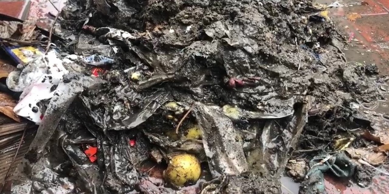 Yağmur Suyu Izgarasından Çıkanlar Pes Dedirtti