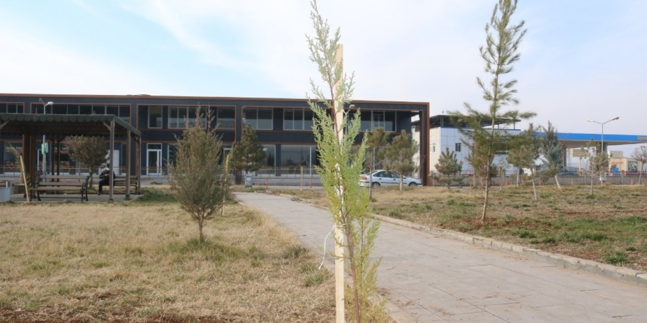 Bismil Devlet Hastanesi Bahçesine 600 Fidan Dikildi