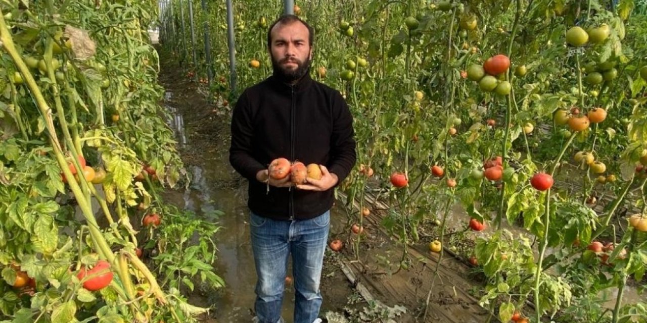 Çiftçi Fırtına Sonrası Yaralarını Sarıyor
