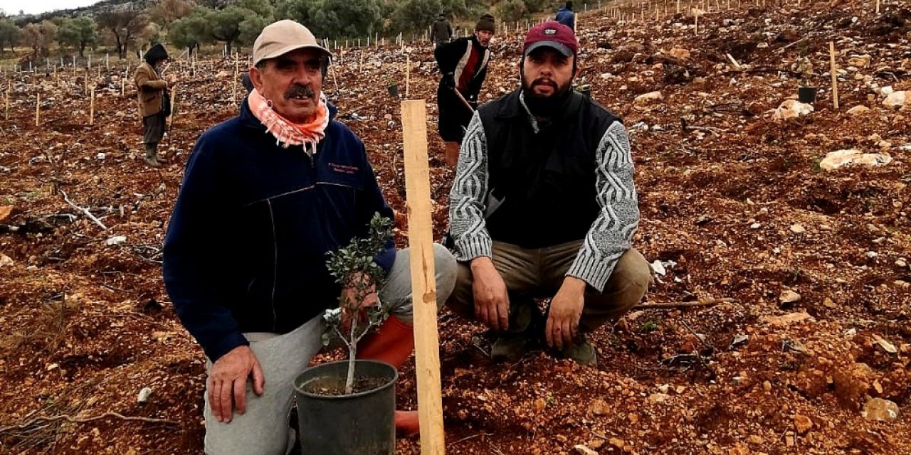 Çeşme’de Yanan Alanlara Sakız Fidanları Dikiliyor