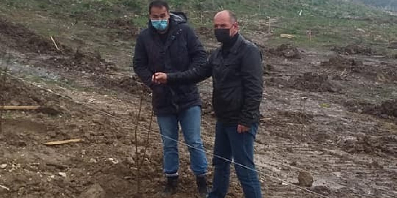 Didim’de Erkenci Kayısı Fidanları Toprakla Buluştu