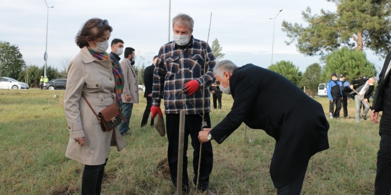 Emşav’dan Şehit Ve Gaziler Hatıra Ormanı’na Fidan Dikimi