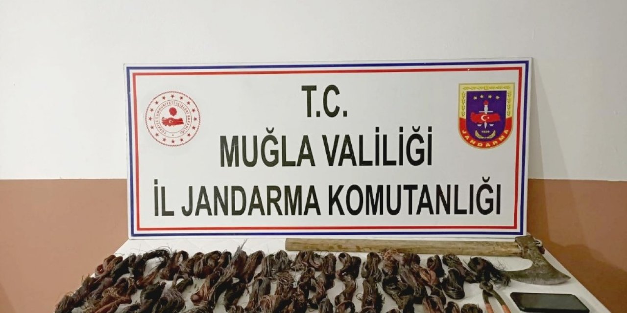Kablo Hırsızları Jandarmaya Yakalandı