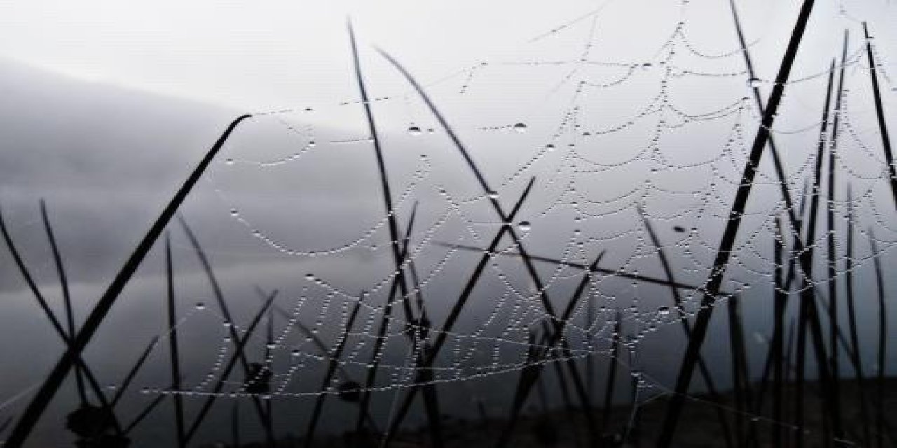 Karatay Kent Konseyi’nin Fotoğraf Yarışması Sonuçlandı