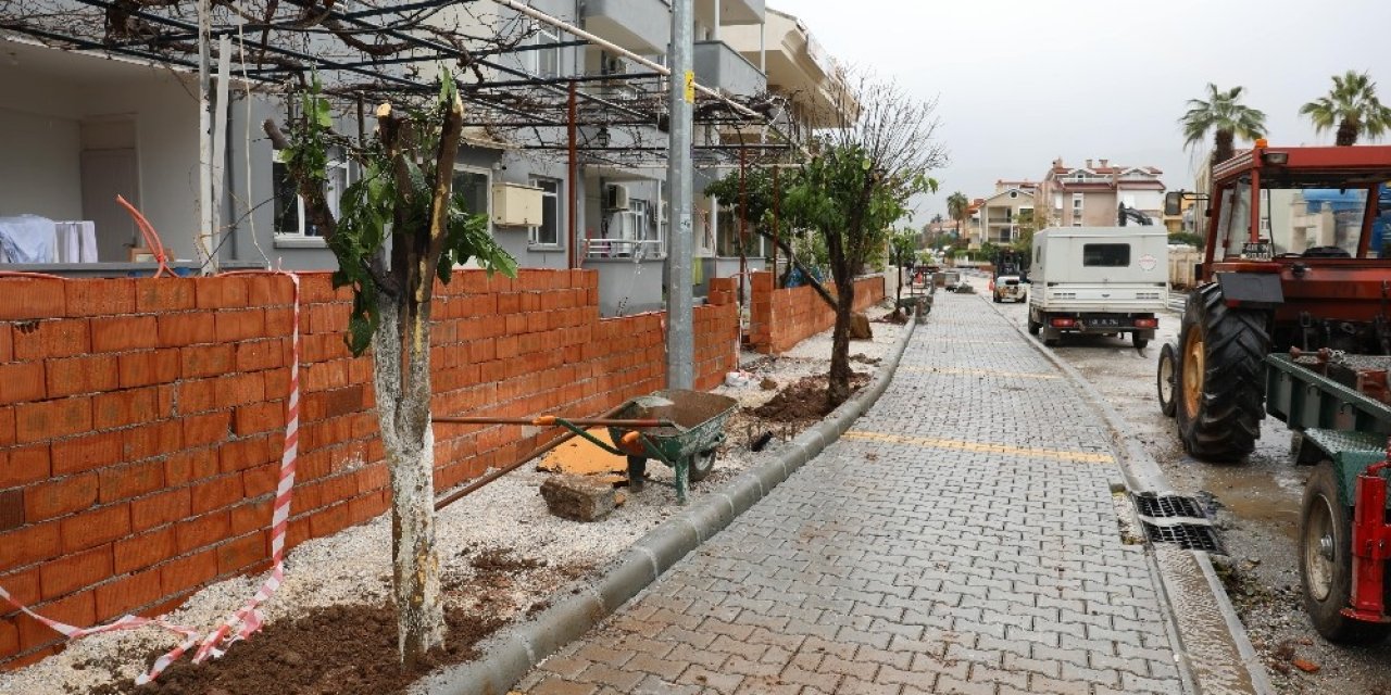 Marmaris’te Cadde Yenilemesi Sırasında Kaldırılan Ağaçlar Yeniden Toprakla Buluştu