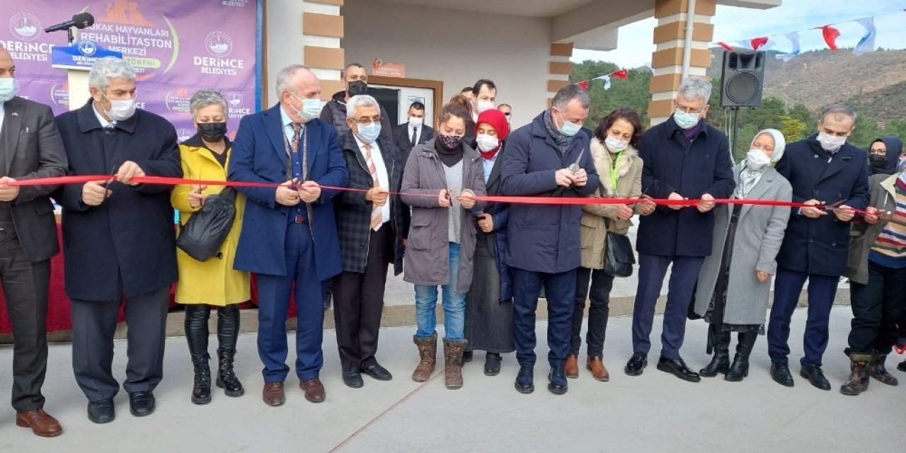 Sokak Hayvanlarına 5 Yıldızlı Tesis
