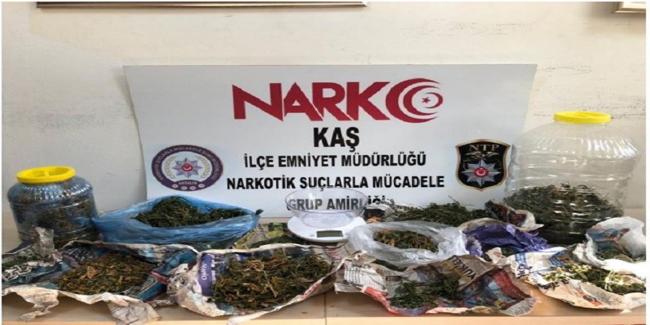 Antalya’da 1 Buçuk Milyon Tl’lik Makaron Ele Geçirildi