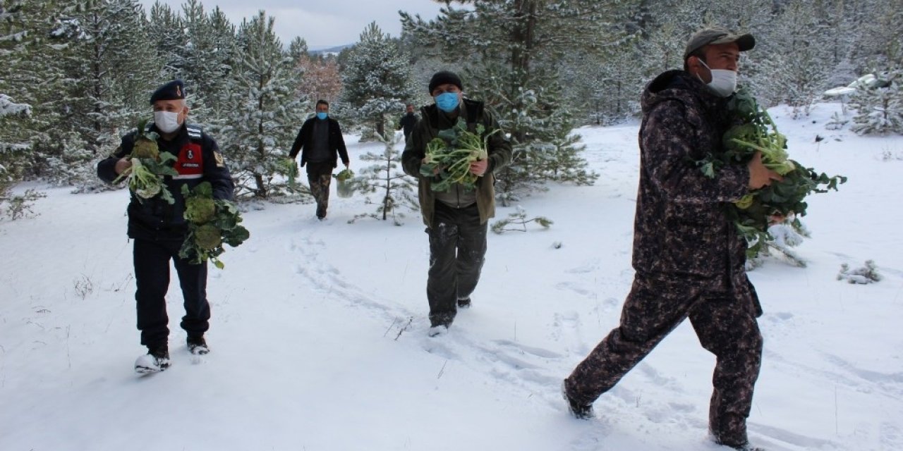 Jandarma Ve Avcılar, Yaban Hayvanlarına Yiyecek Bıraktı