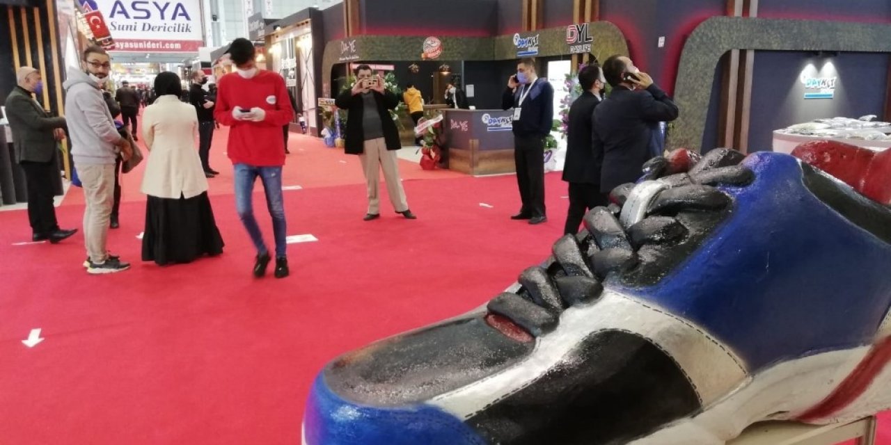 Gapshoes Moral Oldu
