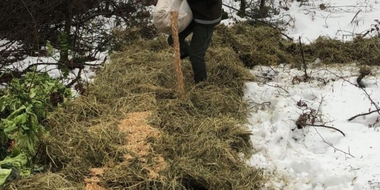 Tekirdağ’da Yaban Hayatına 4 Buçuk Ton Yem Bırakıldı
