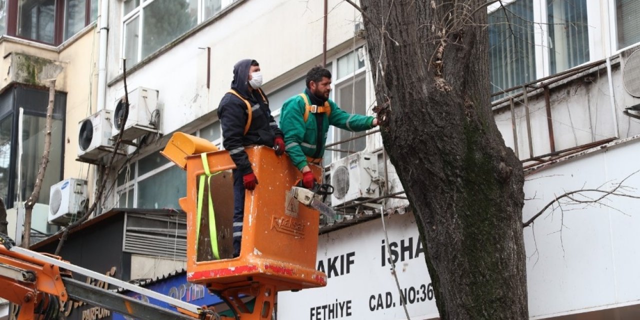İ̇zmit Belediyesi’nden Ağaç Budama Çalışması