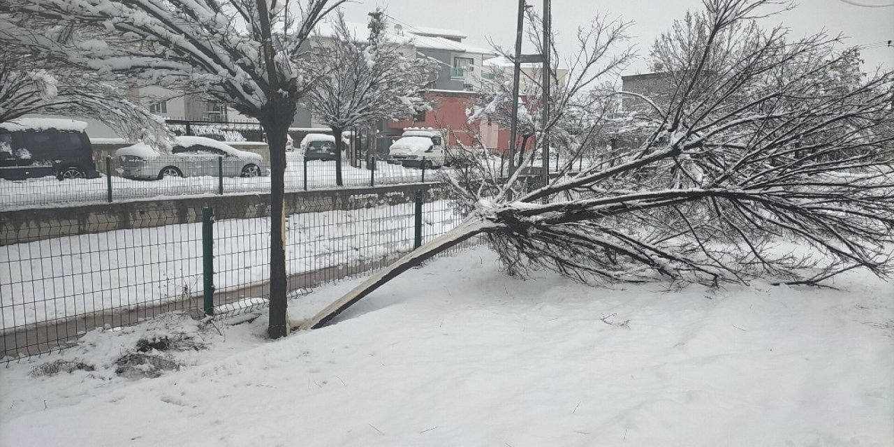 Kar Yağışı Elektrik Direklerini Devirdi