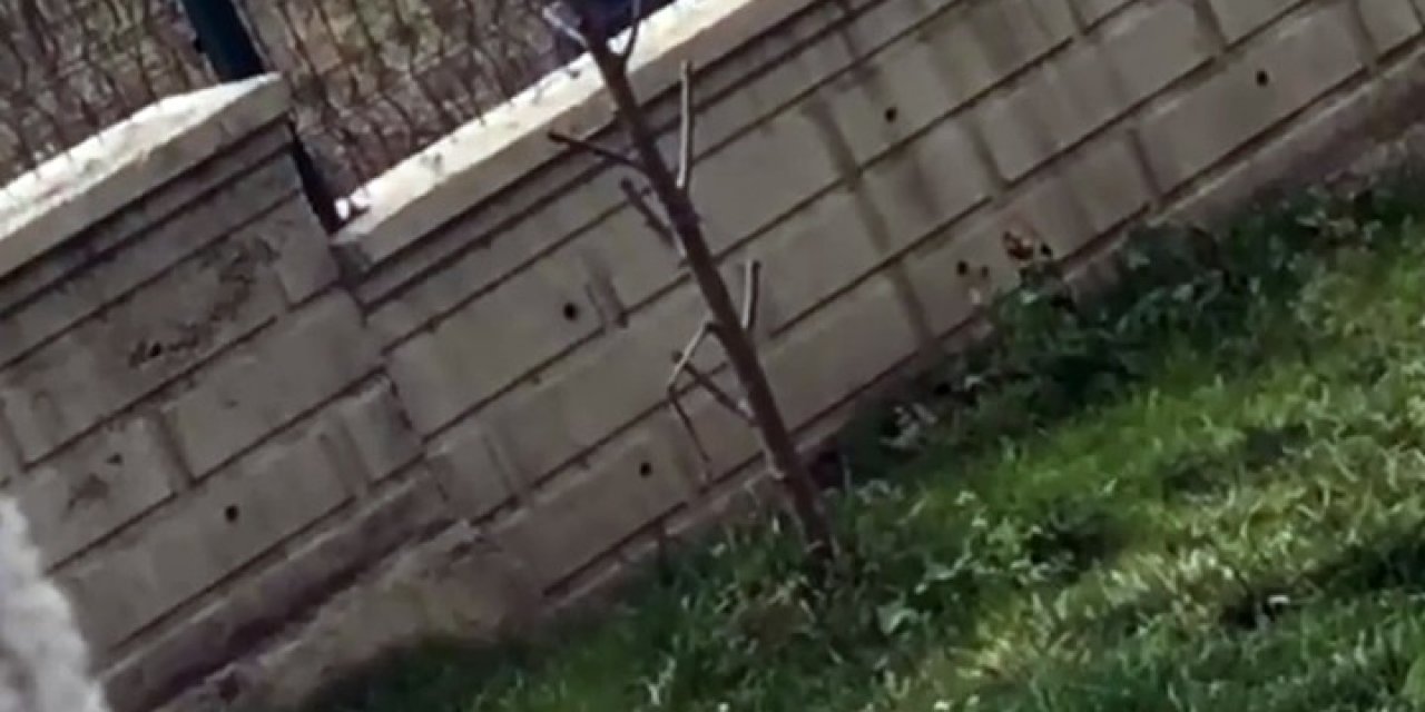 3 Çocuğun Yürek Sızlatan Görüntüleri