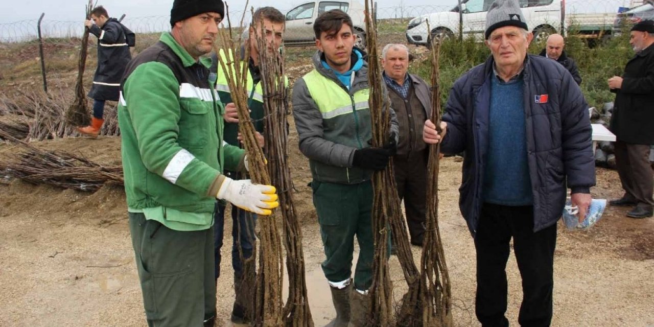 Kocaeli’de Tarım Ve Hayvancılığı Milyonluk Destek