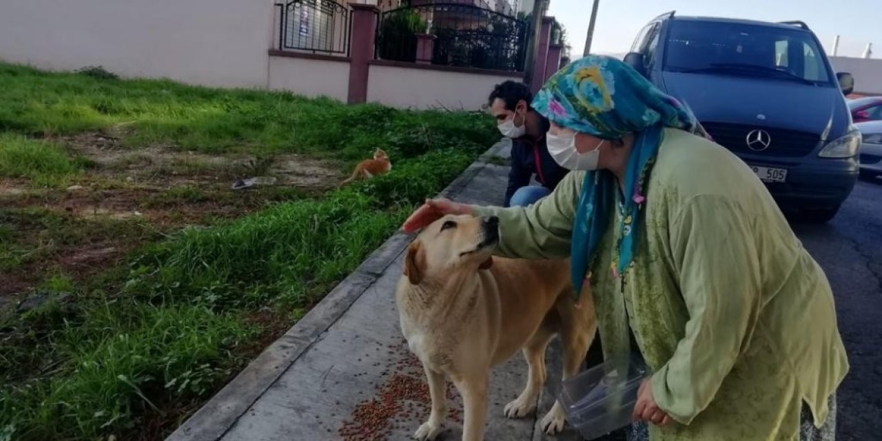 İ̇zmir’de Sokak Hayvanları İçin 100 Ton Mama