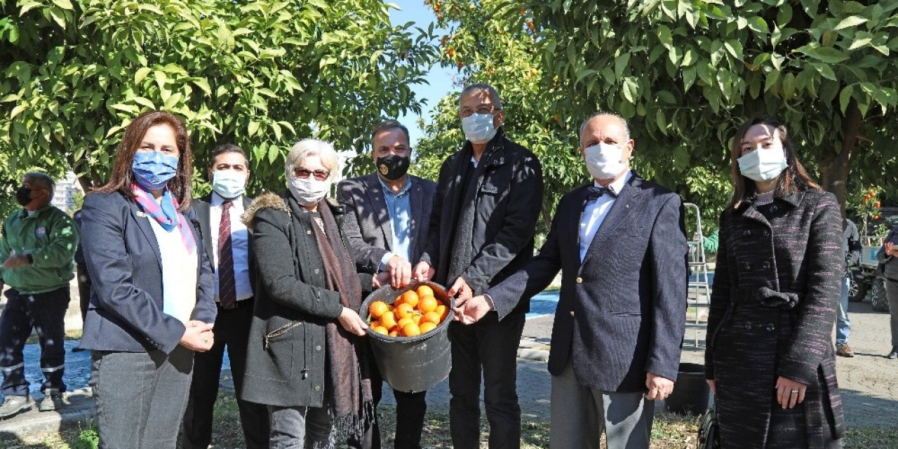 Mersin’de Turunçlar Salata Sosu Olarak Ekonomiye Kazandırılacak