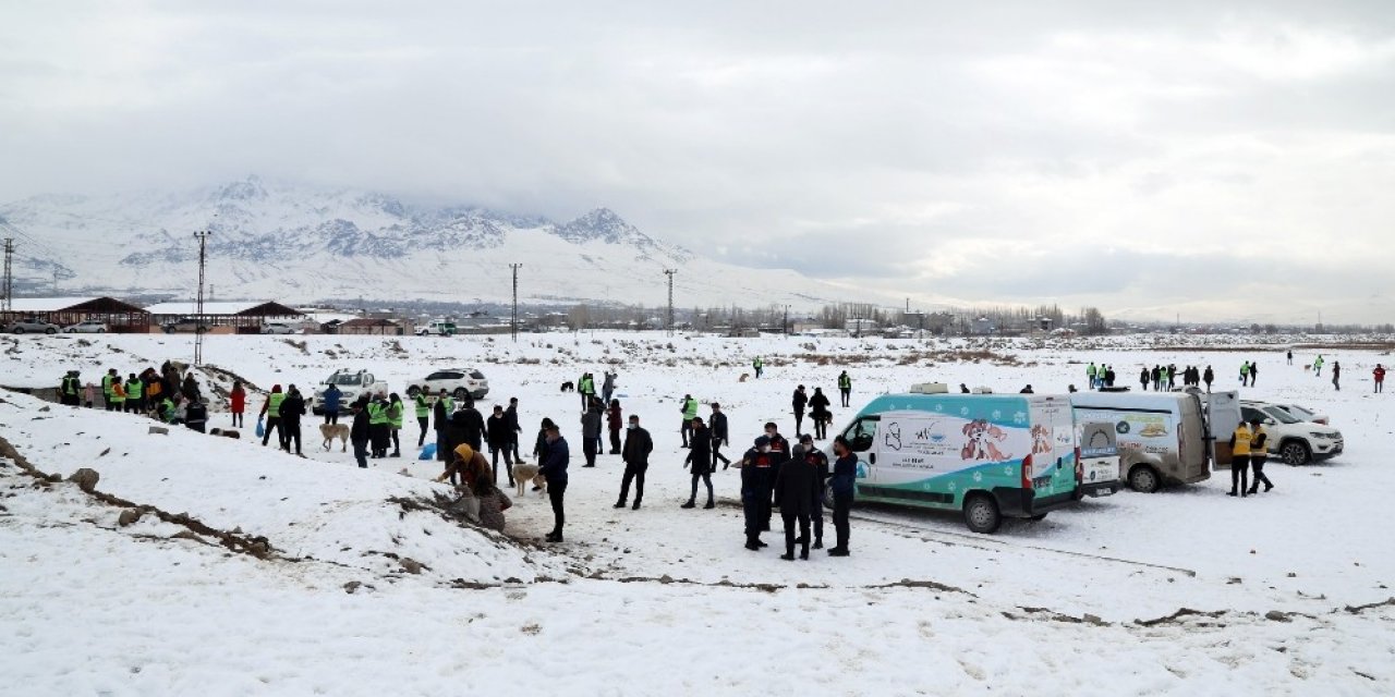 Van Büyükşehir Belediyesi Kısıtlamalarda Sokak Hayvanlarını Unutmadı
