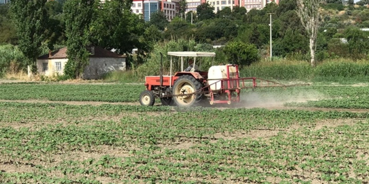 Ziraat Fakültesi Desteğiyle Kuraklığa Dayalı Pamuk Tohumu Geliştirildi