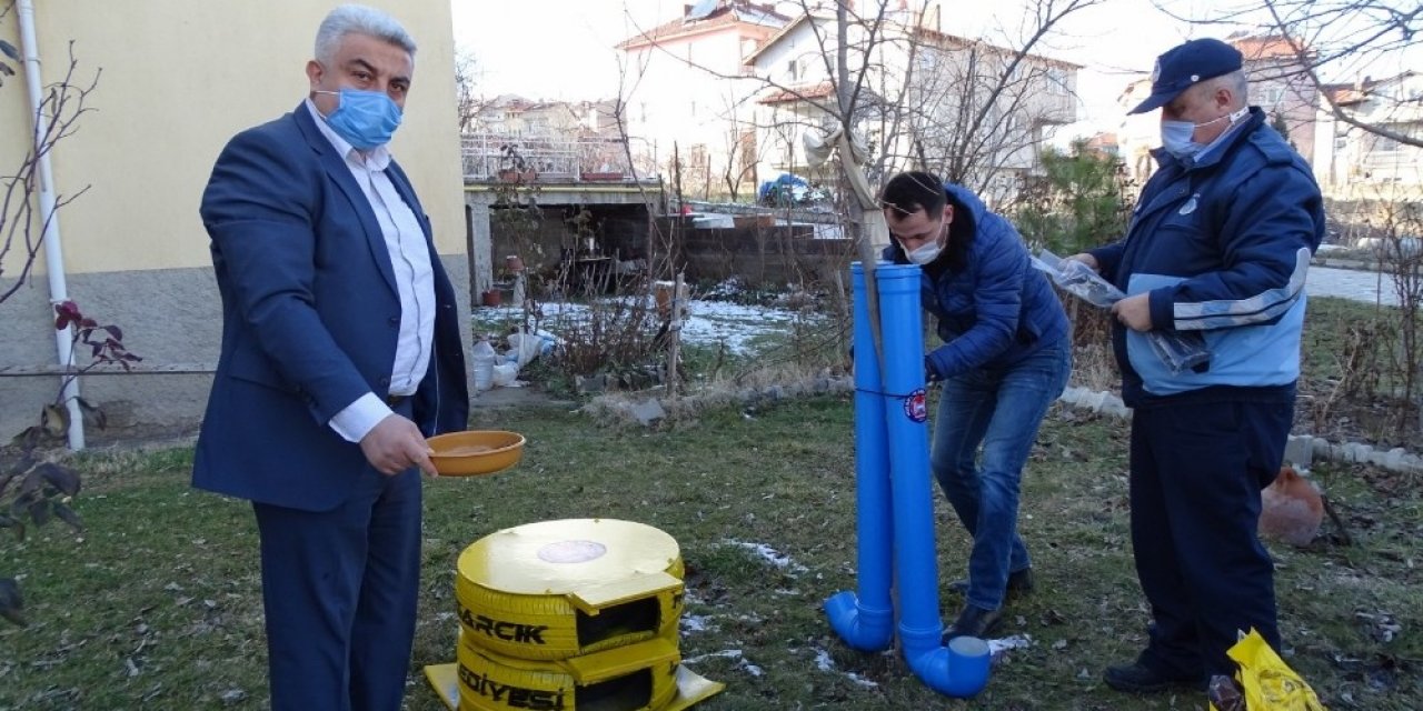 Otomobil Lastikleri Kedi Evi Oluyor