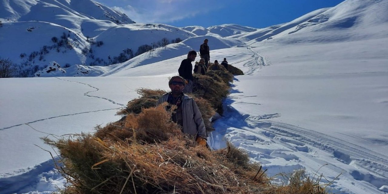 Hayvanlar İçin Dağlardan Kızaklarla Ot Taşıyorlar