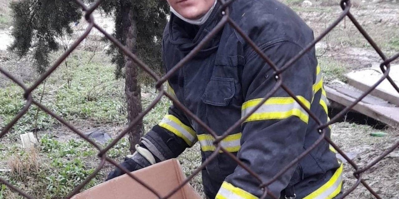Burdur’da Isınmak İçin Rögara Giren Yavru Köpekler Kurtarıldı