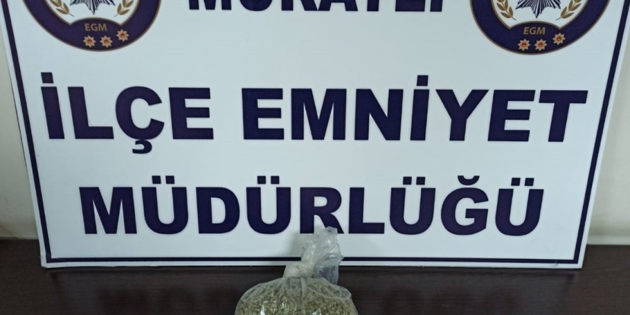 Köprünün Altında Bonzai İçerken Yakalandı