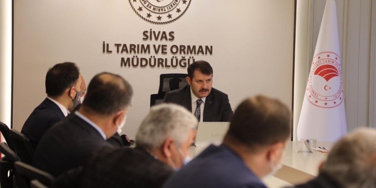 Sivas Tarımı Kenevirle Güçlenecek