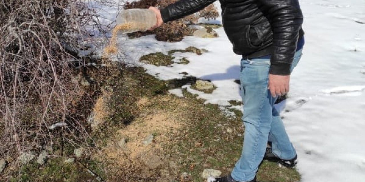 Sokak Hayvanlarını Gençler Besledi