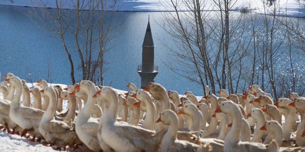 Şehir Hayatı Bunalttı, Huzuru Köyünde Buldu