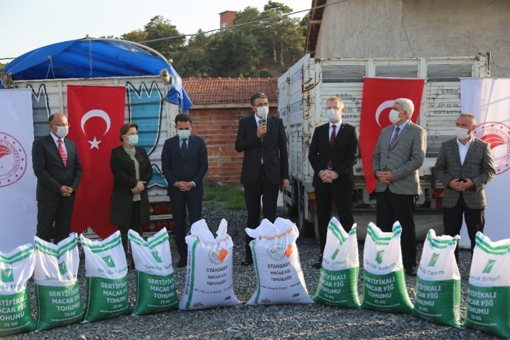 Macar Fiği Yetiştiriciliğini Geliştirme Projesi kapsamında 75 ton Macar Fiği tohumu dağıtıldı
