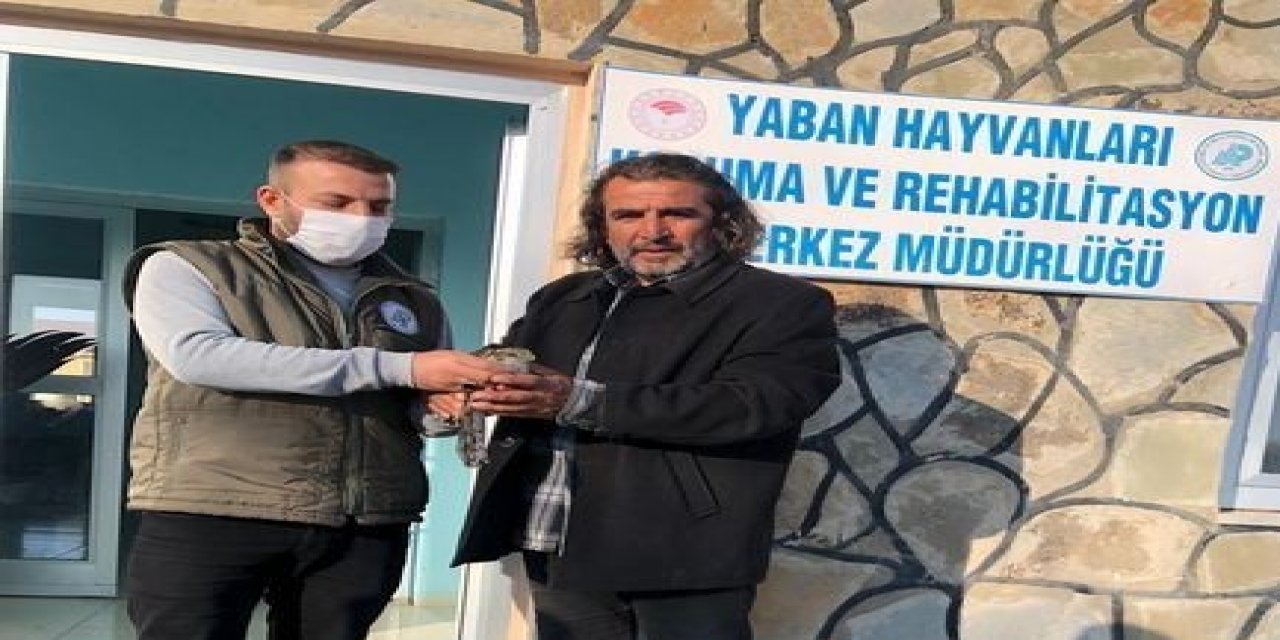 Yaralı Kuşlar Tedavi Altına Alındı
