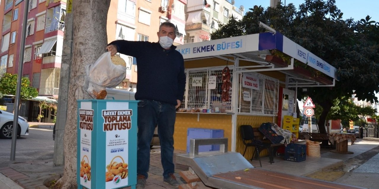 Kepez, Sokak Hayvanlarını Kendi Ürettiği Mamalarla Besliyor