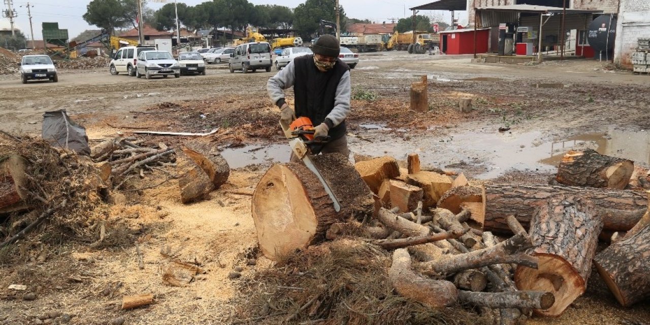 Turgutlu’da Budanan Ağaç Dalları İhtiyaç Sahiplerine Yakacak Oldu