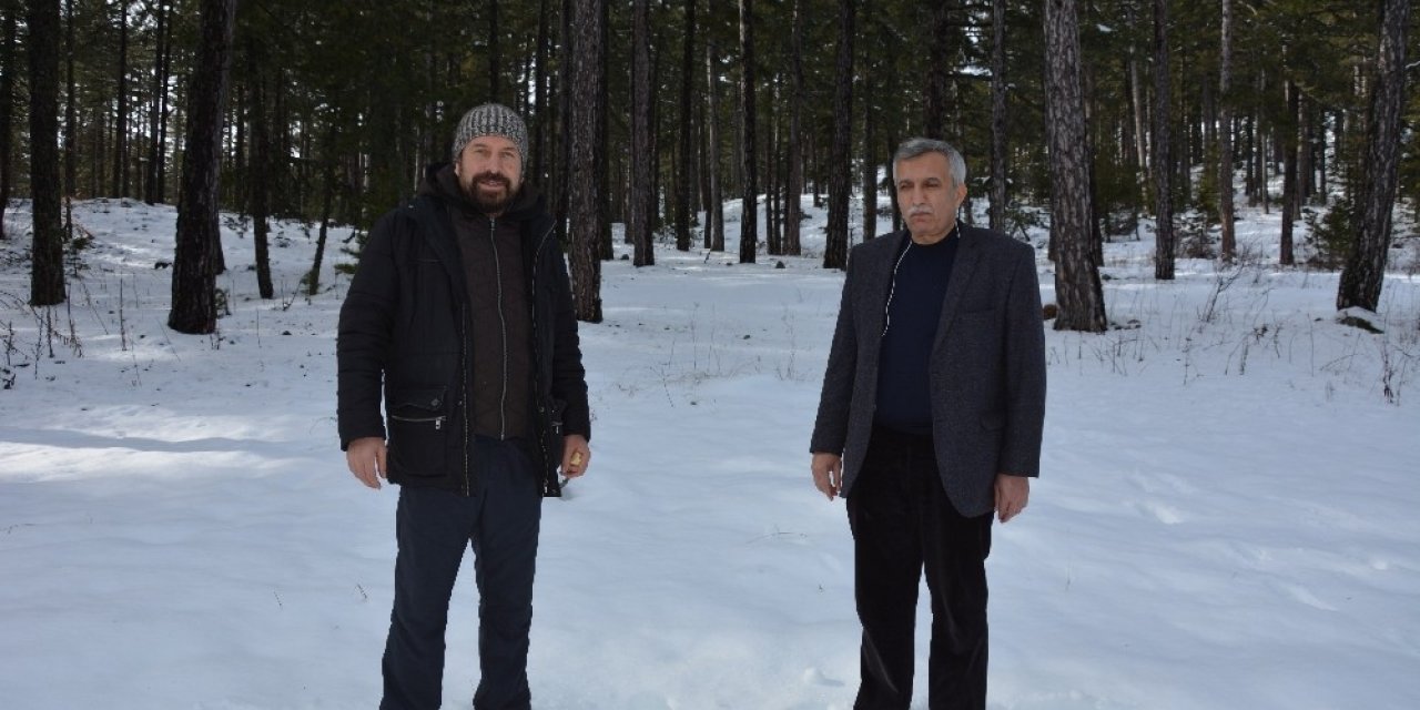 Sındırgı’da Termal Ve Zirvede Kar Keyfi