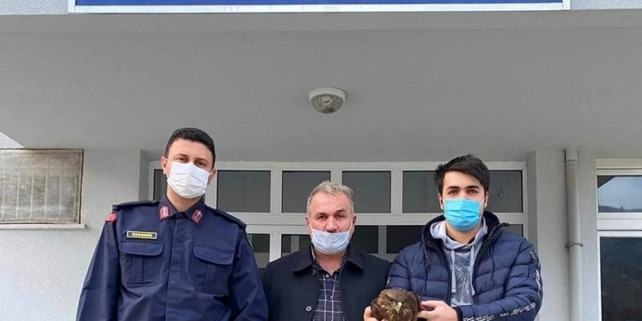 Jandarma, Yaralı Şahini Elleriyle Besleyerek Korumaya Aldı