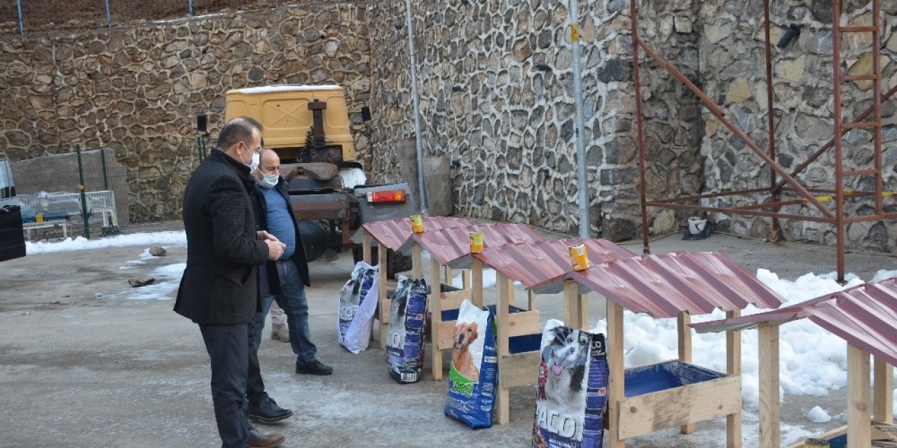 Uludere’de Sokak Hayvanları İçin Barınak Yapıldı