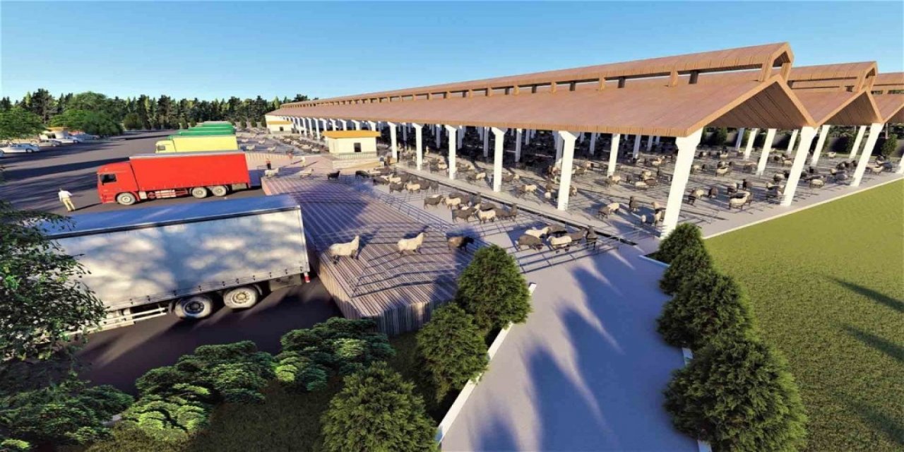 Şanlıurfa’da Hayvan Borsası Çalışması