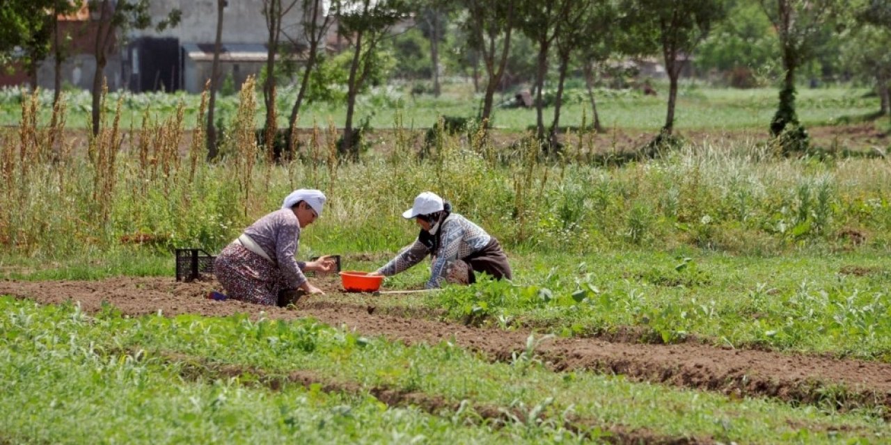 Tarımda Büyükşehir Damgası