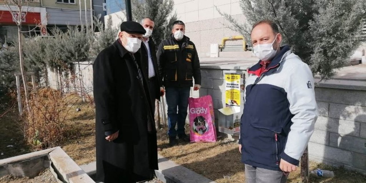 Sokak Hayvanları İçin Besleme İstasyonları Kuruluyor